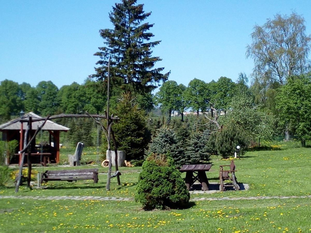 Agroturystyka Andrzejowka Czerniki Exterior foto